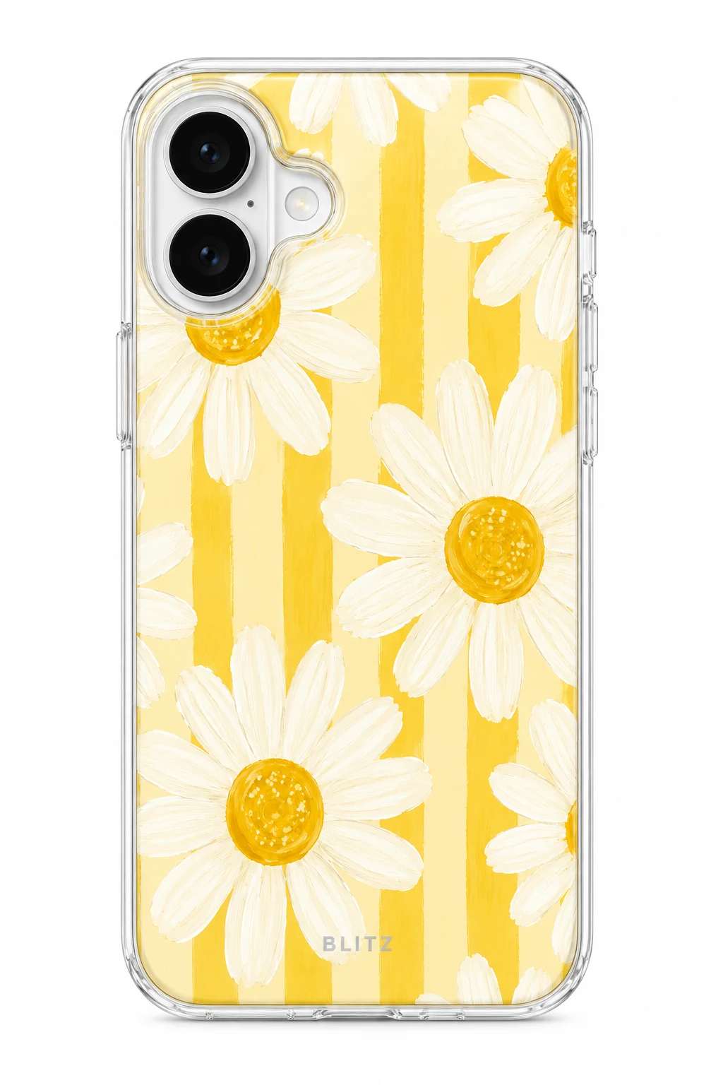 Margaritas Miel – Carcasa